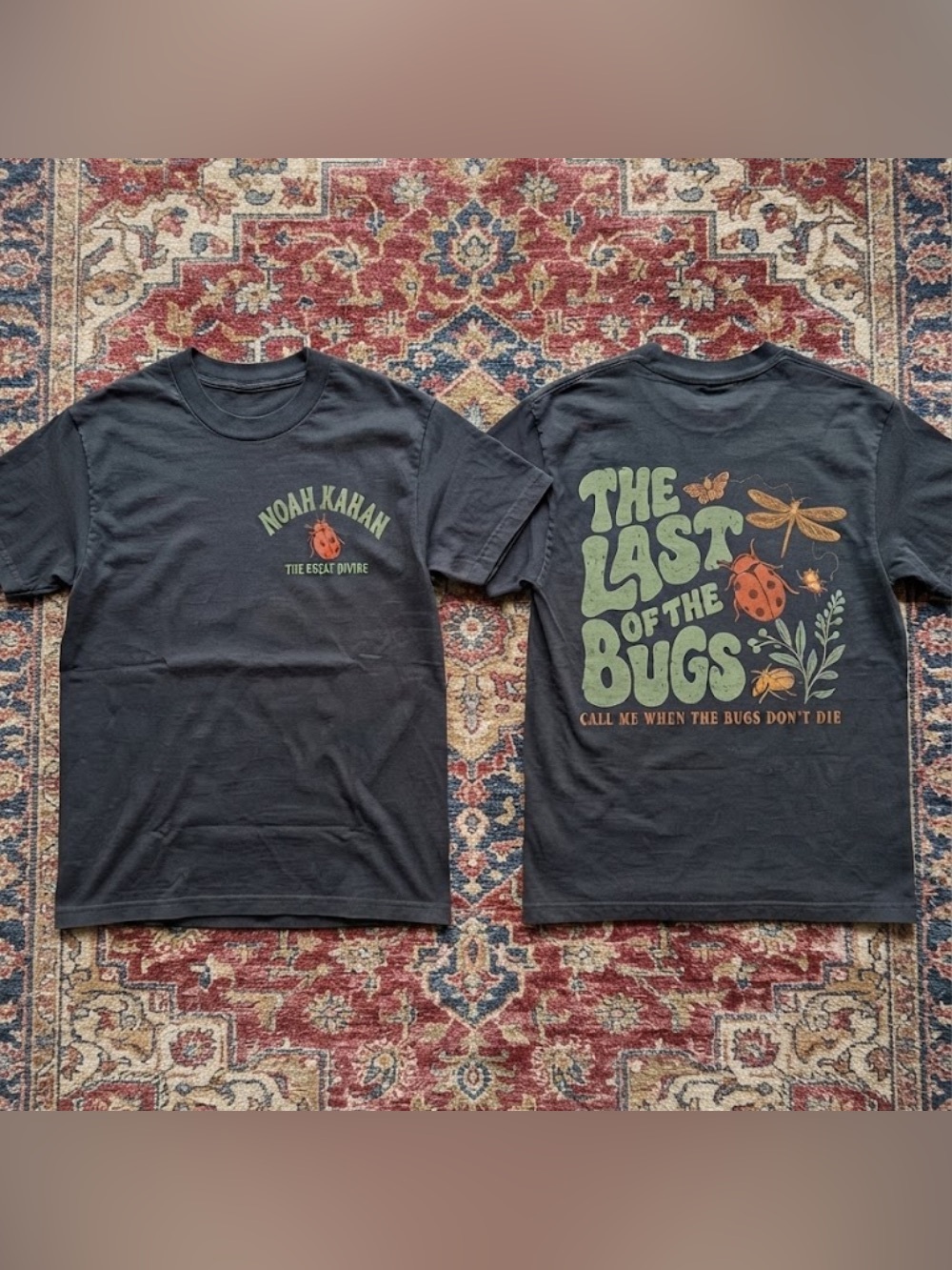 Noah Kahan The Last Of The Bugs Ladybug Dragonflies Vintage Black T-Shirt